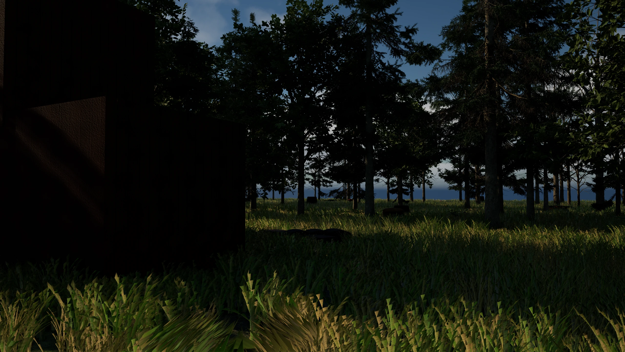 Woodland environment captured from the current game build